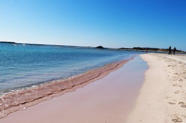 Elafonisi Sahili Yunanistan Girdisi