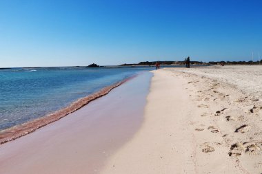 Elafonisi Sahili Yunanistan Girdisi