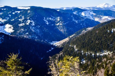 Kumbet Yaylasi Karadeniz Giresun Türkiye