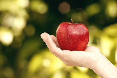 Kırmızı elma tutan bir kadının eli..