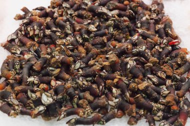 İspanyol pazarındaki bir buz tabanındaki kaya midyelerinin yakın plan fotoğrafı.