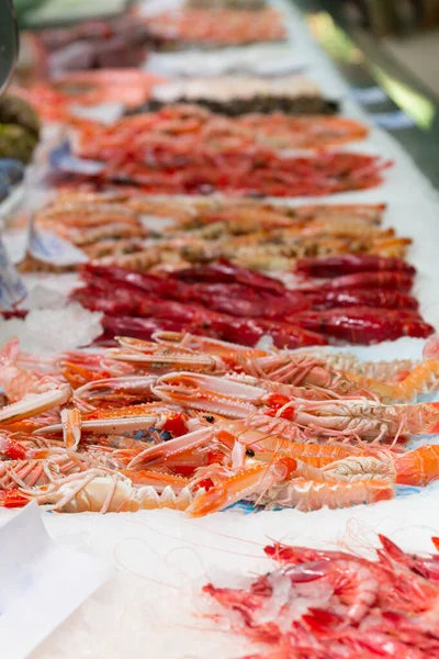 Stock photo of a market stand full of marine products like a crustaceans
