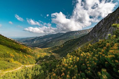 Batı Tatras, Polonya 'da sonbahar. Geniş alngle görüntüsü.