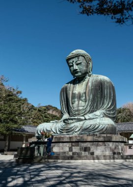 Kamakura, Japonya - Ekim 2018: Büyük Buda 'nın o Kamakura heykelinde çiçek değiştiren kadın bakım personeli.