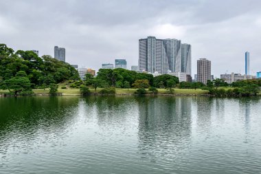 Tokyo, Japonya Ekim 2018: Chuo bölgesindeki Hamarikyu Bahçeleri 'nin arka planında gölde yansıyan gökdelenler..