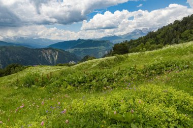 Mestia 'dan Ushguli yürüyüşüne kadar çok güzel bir dağ manzarası oluşturan engin yeşil çayırlar, Yukarı Svaneti Georgia.