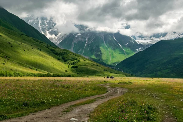 Shkhara Gleccser Völgy Nyári Napon Felső Szvaneti Grúzia — Stock Fotó