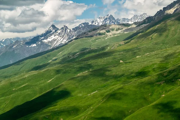 Grassy Πλαγιές Του Καυκάσου Βουνά Κοιλάδα Adishi Γεωργία — Φωτογραφία Αρχείου