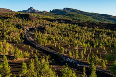 Teide Ulusal Parkı 'ndaki Samara Krateri' nin tepesinden çam ormanına doğru rüzgarlı bir yol ve park halindeki arabalara bakın..