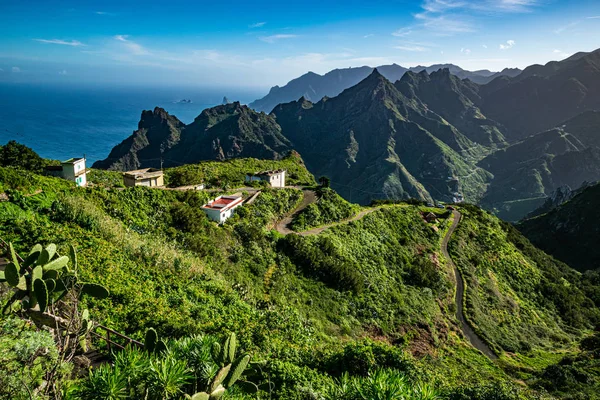 Schilderachtige Kustlijn Landschap Van Anaga Rural Park Noord Tenerife Met — Stockfoto