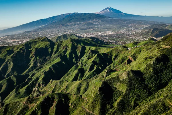 Groene Heuvels Van Anaga Landelijk Park Met Karakteristieke Berg Teide — Stockfoto