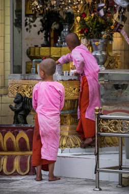 Yangon, Myanmar - 8 Şubat 2018: Pembe giyinmiş iki Budist kadın keşiş Yangon 'daki bir Budist tapınağında kurban hazırlıyorlar..