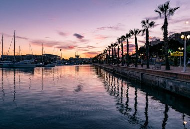 Alicante, İspanya - 16 Aralık 2016: Alacakaranlıkta Alicante şehir marinası boyunca uzanan palmiye ağacı.