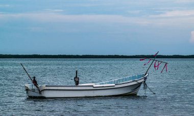 Rio Lagartos, Yucatan, Meksika - 29 Nisan 2017: Alacakaranlıkta eski bir balıkçı teknesinde oturan pelikan ve martı.