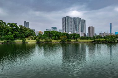 Tokyo, Japonya - 13 Ekim 2018: Hamarikyu Gardens, Tokyo 'daki gökdelenlere doğru bakın.