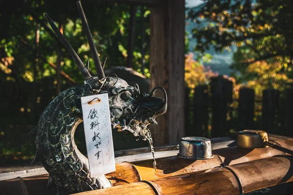 Yudanaka Onsen Japan October 2018 Detail Brass Creeping Dragon Fountain — 스톡 사진