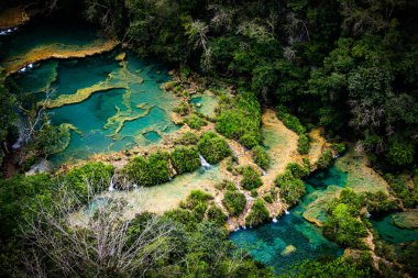 Semuc Champey, Guatemala 'nın Alta Verapaz departmanındaki Cahabon Nehri' ndeki kireçtaşı havuzları..