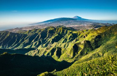 Anaga kırsal parkının yeşil tepeleri. Arka planda Teide Dağı var. Mirador de la Cruz del Carmen 'in bakış açısından görülüyor. tenerife, Kanarya Adaları, İspanya.