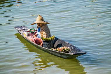 Inle Lake, Myanmar - 30 Ocak 2018: Burmese Intha 'lı kadın yerel işletmelere ve turistlere nilüfer çiçeği satıyor. 