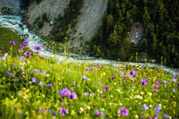 Contexte Naturel Abstrait Gros Plan Sur Rivière Glaciaire Adishi Dans — Photo