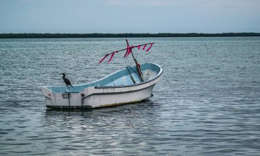 Rio Lagartos, Yucatn, Meksika - 20 Nisan 2017: Kara karabatak Rio Lagartos 'ta yerel bir balıkçı teknesinde gün batımından sonra.