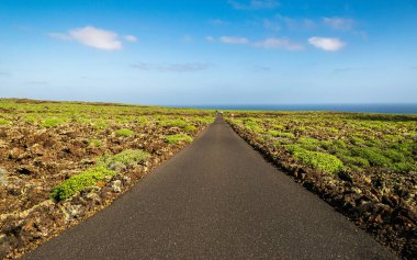 Volkanik Lanzarote adasındaki düz asfalt yolda okyanusa doğru ilerliyor. Lanzarote, Kanarya Adaları, İspanya 'nın güzel volkanik manzarası.