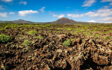 Lanzarote 'de volkanik lav ve az bulunan bitki örtüsüyle kaplı engebeli bir arazi. Ufukta volkan kraterleri olan güzel Lanzarote manzarası, Kanarya Adaları, İspanya.