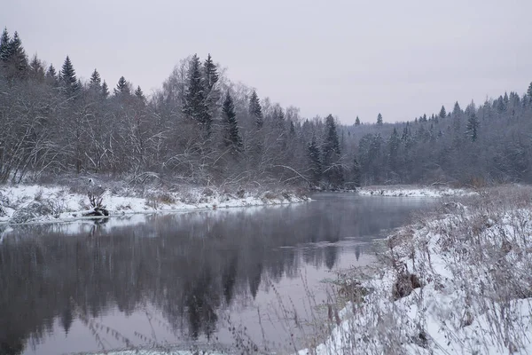 Hiver Arrive Matin Glacé — Photo