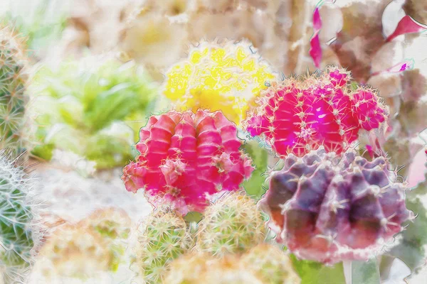 Kaktus akwarela na kikut i na piasku, wiosna w pustyni — Zdjęcie stockowe