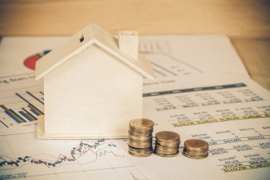 Para ve grafik ile minyatür ev