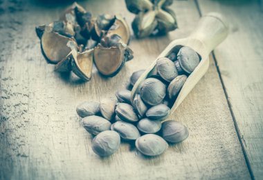 kurutulmuş kapsül Sacha InChI fıstıkla ahşap meyvesi tohumu 