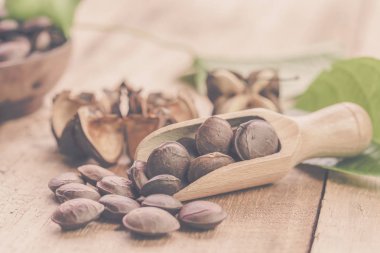 kurutulmuş kapsül Sacha InChI fıstıkla ahşap meyvesi tohumu 