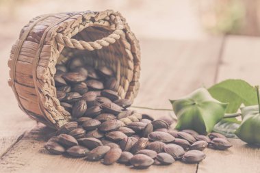 kurutulmuş kapsül Sacha InChI fıstıkla ahşap meyvesi tohumu 