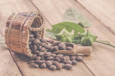 kurutulmuş kapsül Sacha InChI fıstıkla ahşap meyvesi tohumu 