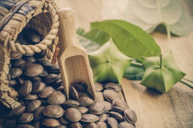 kurutulmuş kapsül Sacha InChI fıstıkla ahşap meyvesi tohumu 