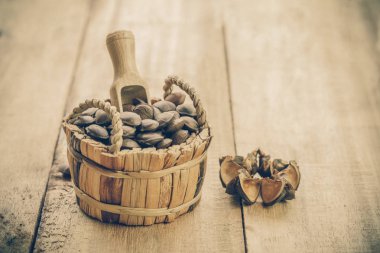 kurutulmuş kapsül Sacha InChI fıstıkla ahşap meyvesi tohumu 