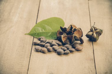 kurutulmuş kapsül Sacha InChI fıstıkla ahşap meyvesi tohumu 