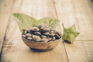 kurutulmuş kapsül Sacha InChI fıstıkla ahşap meyvesi tohumu 