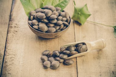 kurutulmuş kapsül Sacha InChI fıstıkla ahşap meyvesi tohumu 