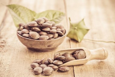 kurutulmuş kapsül Sacha InChI fıstıkla ahşap meyvesi tohumu 