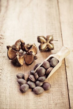 kurutulmuş kapsül Sacha InChI fıstıkla ahşap meyvesi tohumu 