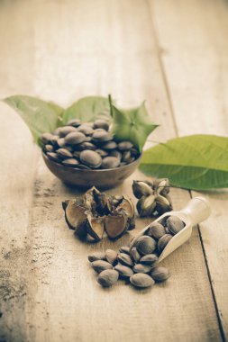 kurutulmuş kapsül Sacha InChI fıstıkla ahşap meyvesi tohumu 