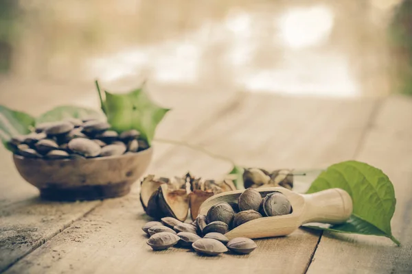 kurutulmuş kapsül Sacha InChI fıstıkla ahşap meyvesi tohumu 