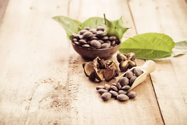 kurutulmuş kapsül Sacha InChI fıstıkla ahşap meyvesi tohumu 