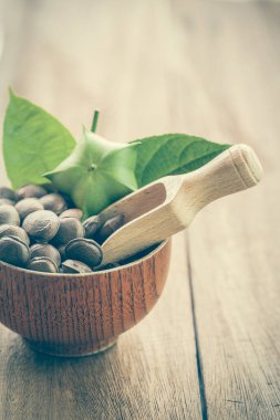 kurutulmuş kapsül Sacha InChI fıstık tabak meyve tohumları