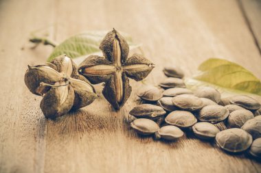 kurutulmuş kapsül Sacha InChI fıstıkla ahşap meyvesi tohumu 