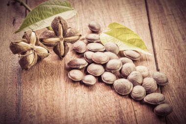 kurutulmuş kapsül Sacha InChI fıstıkla ahşap meyvesi tohumu 