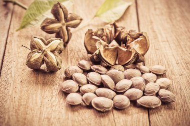 kurutulmuş kapsül Sacha InChI fıstıkla ahşap meyvesi tohumu