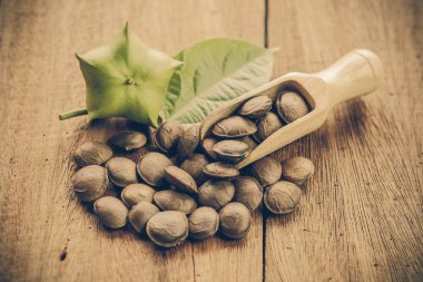 kurutulmuş kapsül Sacha InChI fıstıkla ahşap meyvesi tohumu 