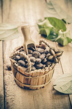 kurutulmuş kapsül Sacha InChI fıstık sepeti meyve tohumları